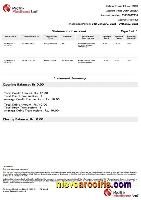 Pakistan Mobilink Microfinance Bank statement of account Word and PDF